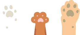 手