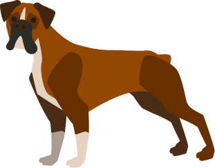 犬