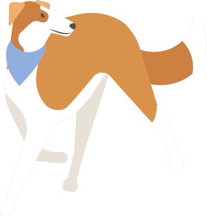 犬