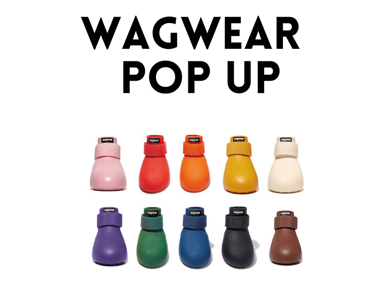 WAGWEARポップアップイベント