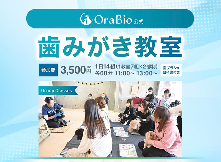 Ora Bio公式 歯みがき教室
